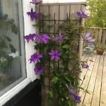 Klitgaarden 4*