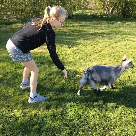 Klitgaarden 公寓式酒店