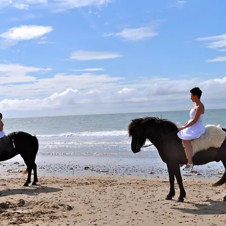 Klitgaarden Apart Otel 4*