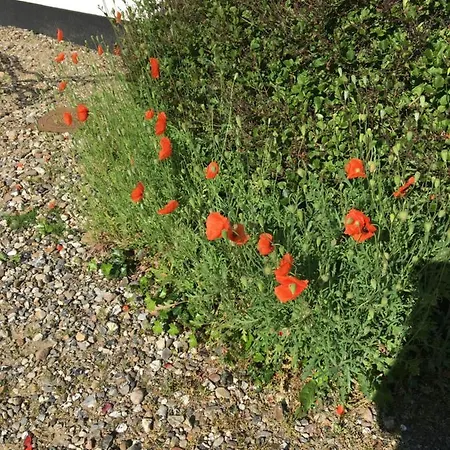 Klitgaarden Aparthotel Hjorring