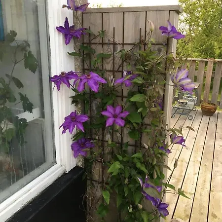 Klitgaarden *
